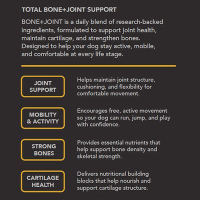 Tandem Pet - BONE+JOINT Super Chews