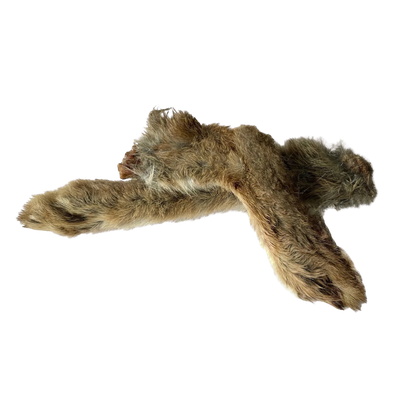 Rabbit  And Hare Feet