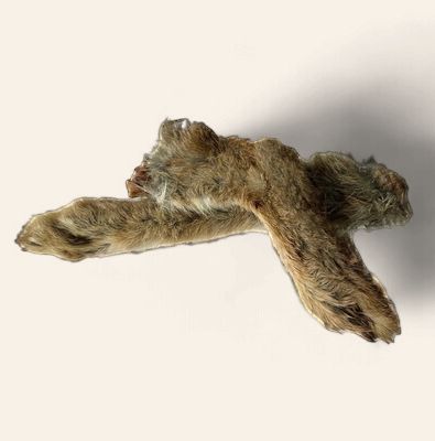 Rabbit  And Hare Feet