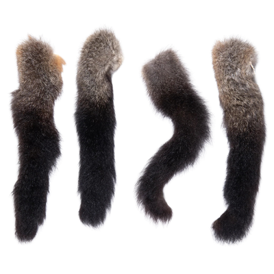 Hairy Possum Tails
