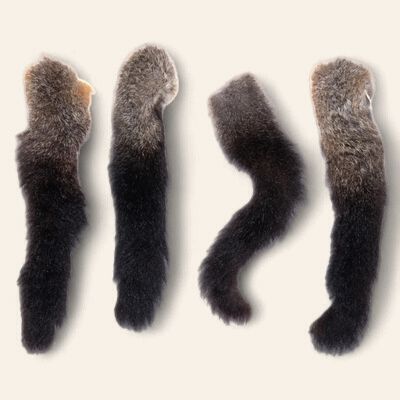 Hairy Possum Tails