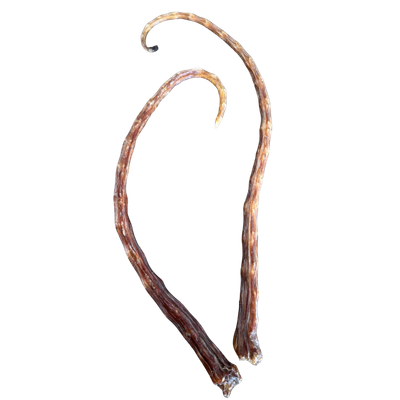 Hairless Possum Tails