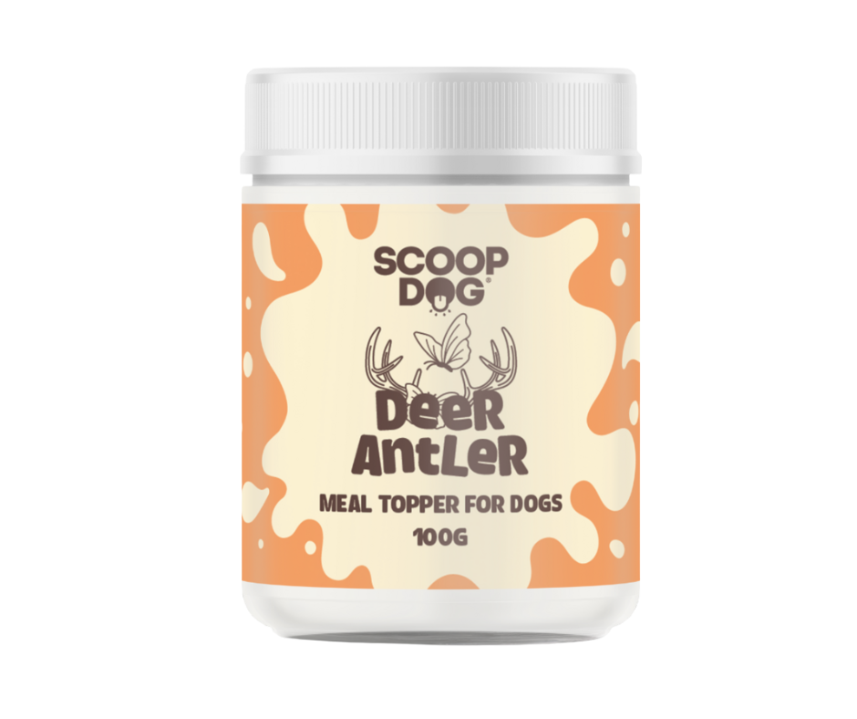 Scoop Dog - Deer Antler, Weight: 100g