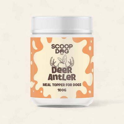 Scoop Dog - Deer Antler