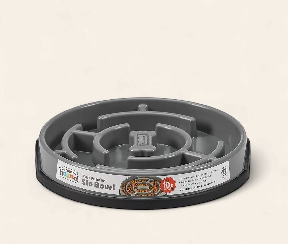 Outward Hound - Maze Slow Feeder