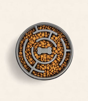 Outward Hound - Maze Slow Feeder