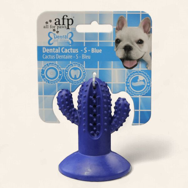 Rubber Dental Chews-Cactus