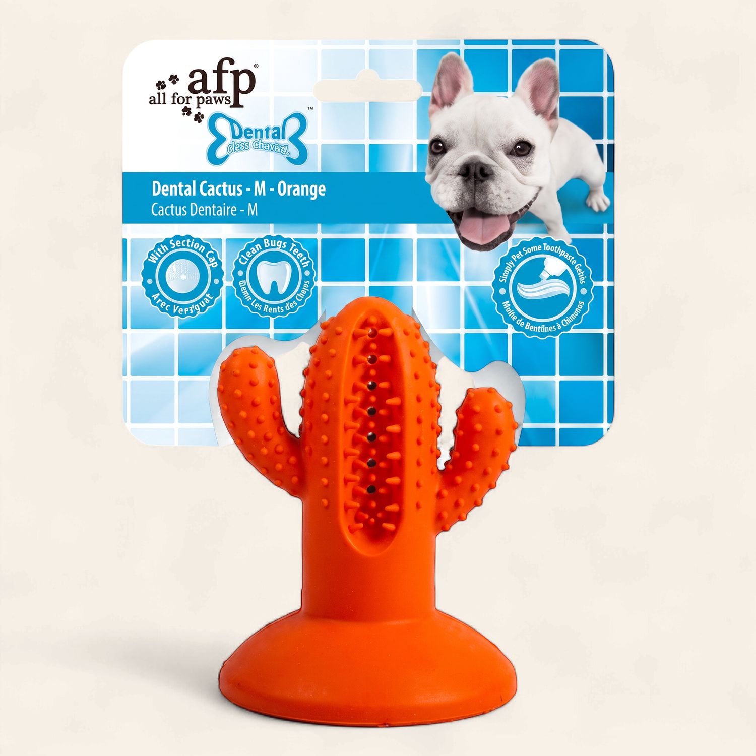 Rubber Dental Chews-Cactus - Medium