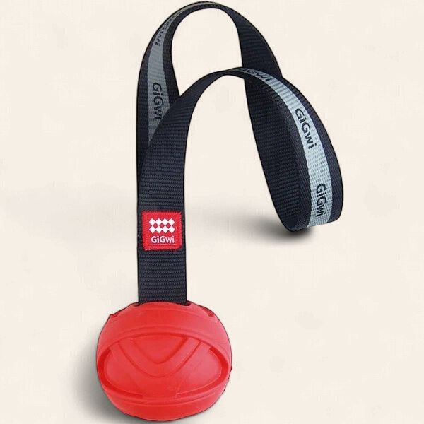 GiGwi Go-Fetch Slinger