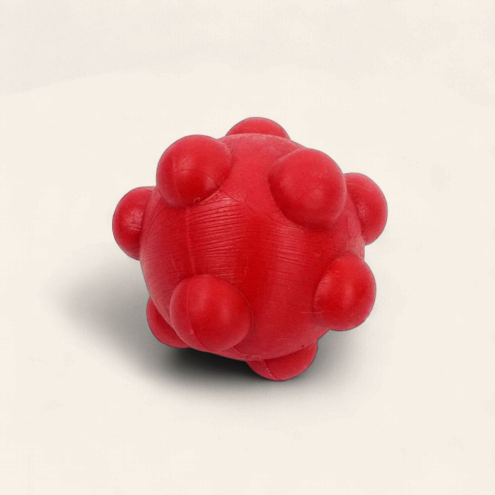 Spike - Ball Asteroid Dog Toy