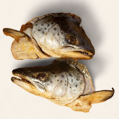 Dehydrated Salmon Head