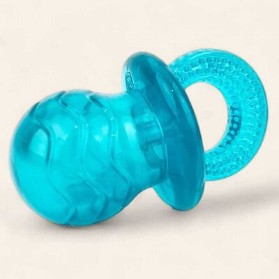 Ruff Play - Pacifier Squeak Toy