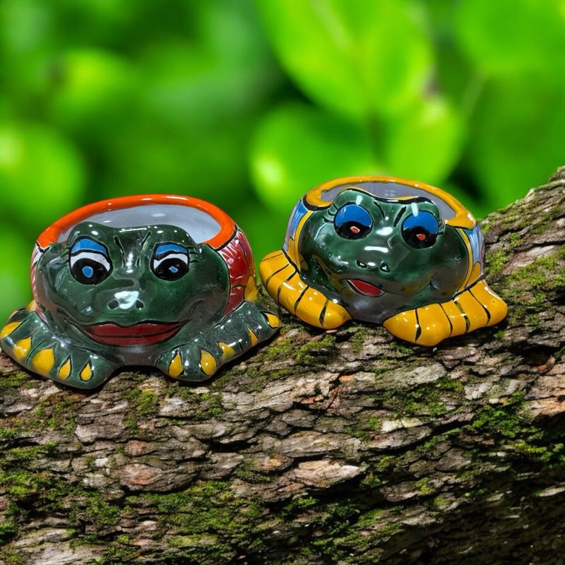 LITTLE TALAVERA FROGS