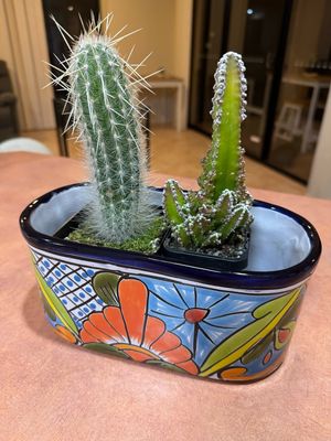 Small Oblong Planter