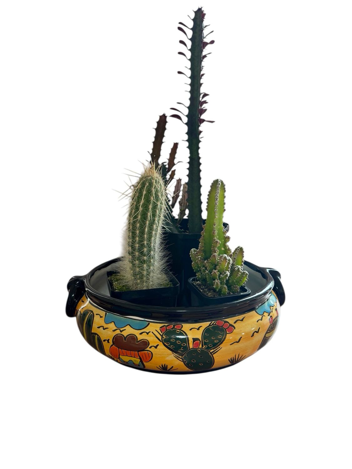 SUCCULENT PLANTER DESERT DESIGN Small