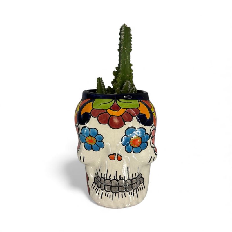 SKULL PLANTER TALAVERA 16cm X 16cm With A 10cm Opening For Plant