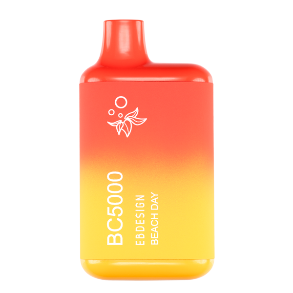 EB Designs BC5000 Beach Day 5%