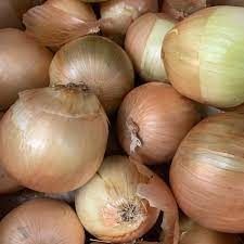 ONION Pkg 80 Yellow