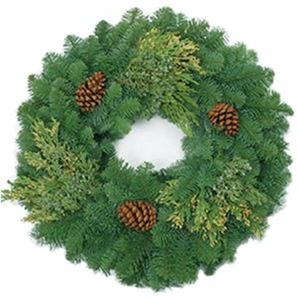 Mixed Noble Fir Wreath 22inch