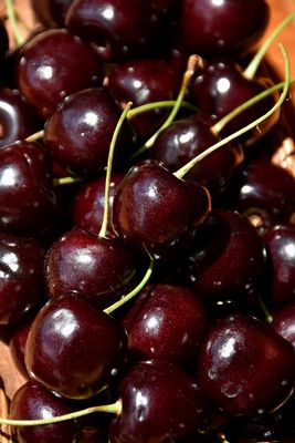 Prunus avium 'Lapins' (Sweet Cherry) 125cm