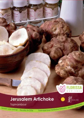 Pkg. 2 ARTICHOKE Jerusalem
