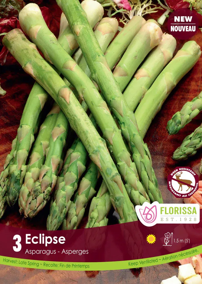 Pkg. 3 ASPARAGUS Eclipse
