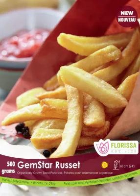 POTATO  Gold Rush