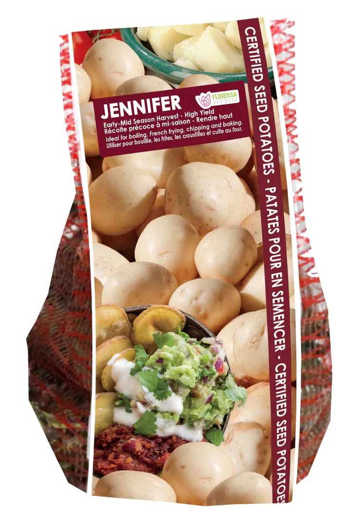 POTATO Jennifer (2kg)