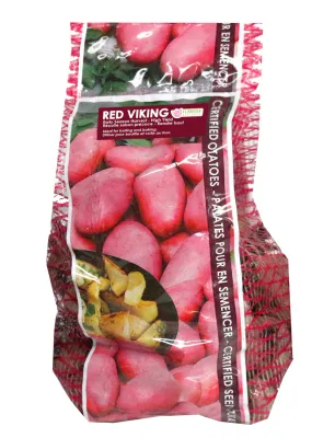 POTATO Red Viking (2kg)