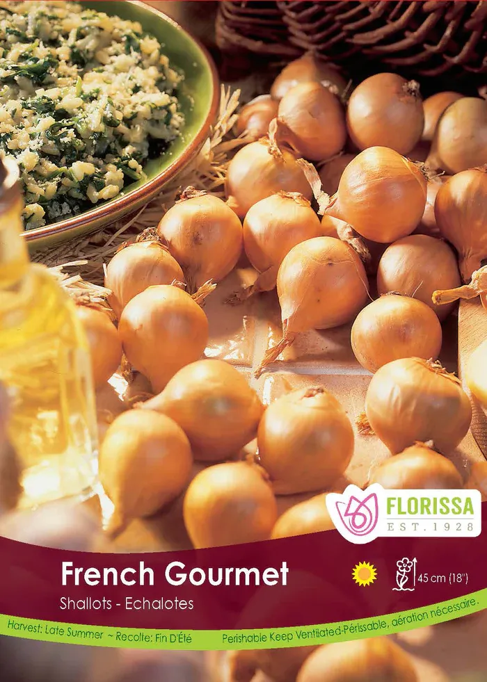 SHALLOTS French Gourmet Pkg. 10