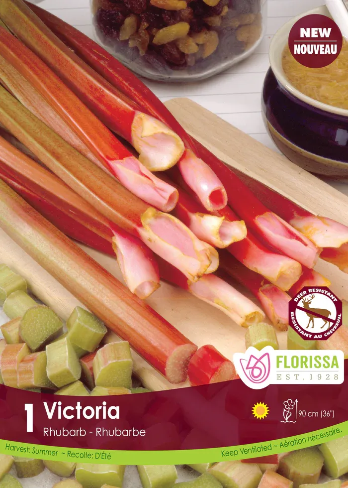 Pkg. 1 RHUBARB Victoria