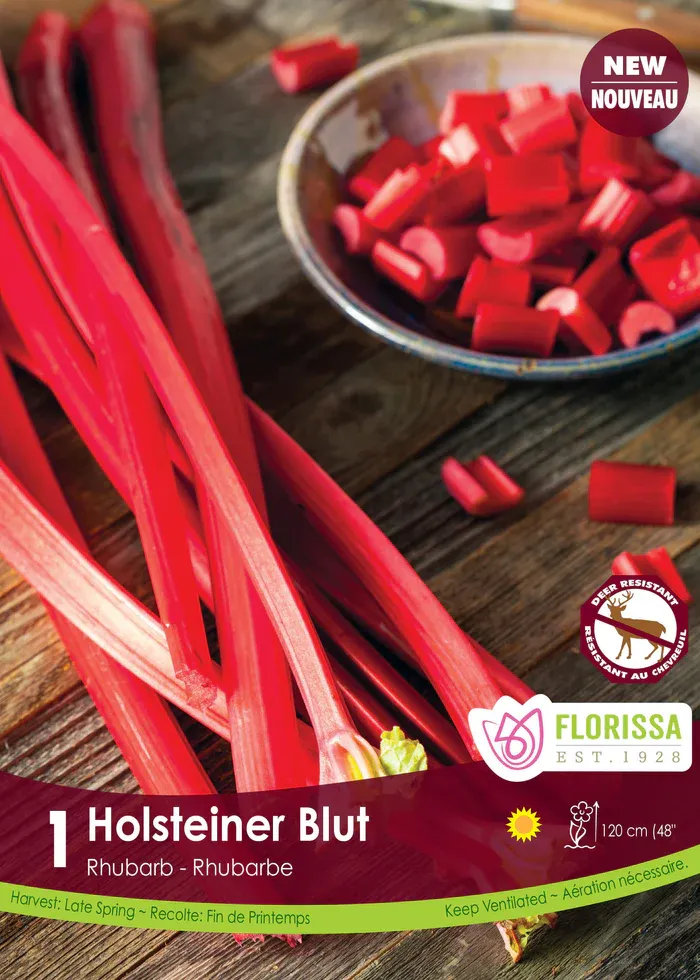 Pkg. 1 RHUBARB Holstenier Blut