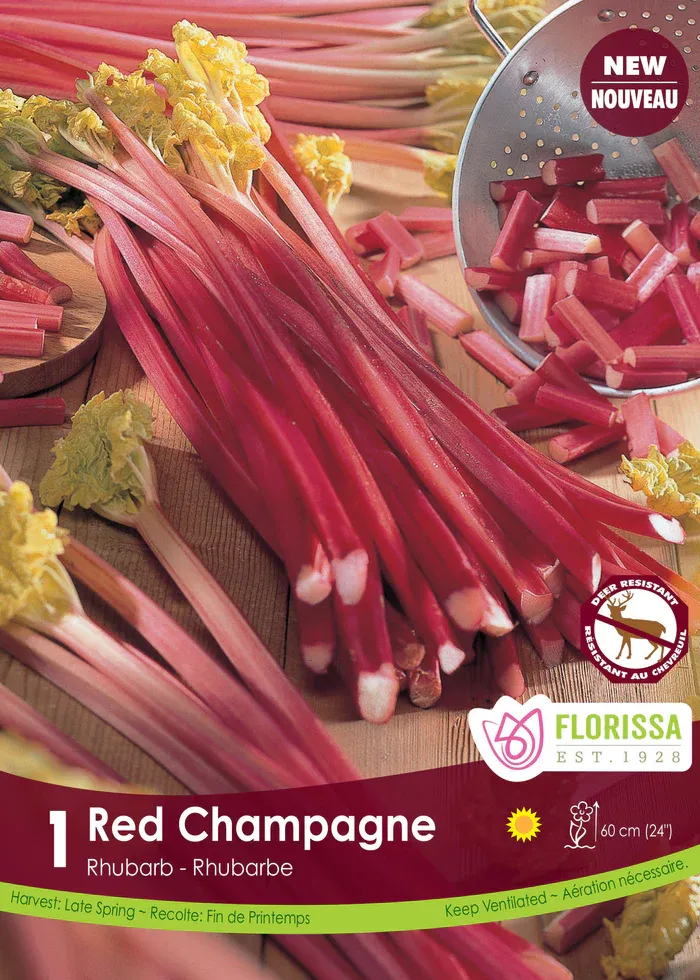 Pkg. 1 RHUBARB Red Champagne