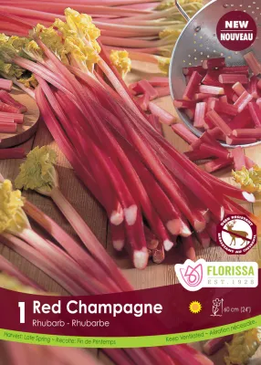 Pkg. 1 RHUBARB Red Champagne