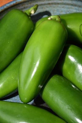 Hot Pepper 'Jalapeno' Cell Pak (4)