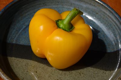 Sweet Pepper 'Golden California Wonder' Cell Pak (4)