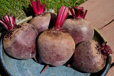 Beets 'Red Ace' Cell Pak (6)