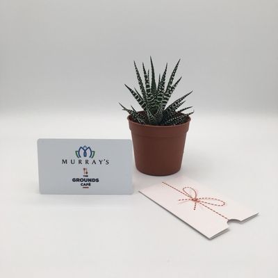 Gift Cards