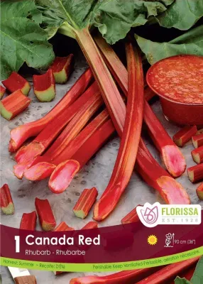 Pkg. 1 RHUBARB Canada Red