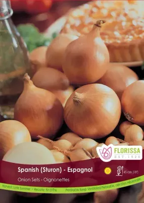 ONION Pkg 80 Spanish