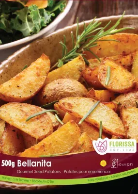 POTATO Gourmet Bellanita Fingerling (500g)