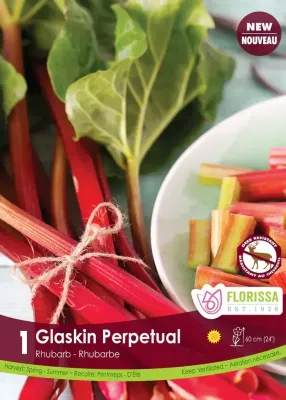 Pkg. 1 RHUBARB Glaskins Perpetual