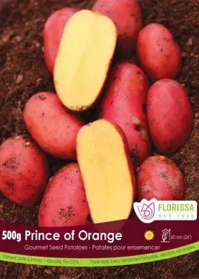 POTATO Gourmet Prince of Orange (500g)