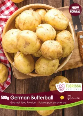 POTATO Gourmet German Butterball (500g)