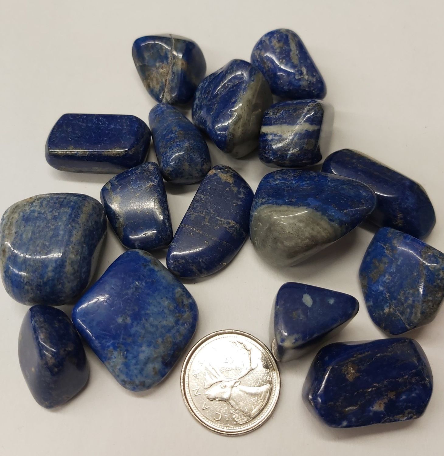 Lapis Lazuli Tumbled