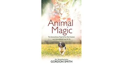 Animal Magic by Gordon Smith