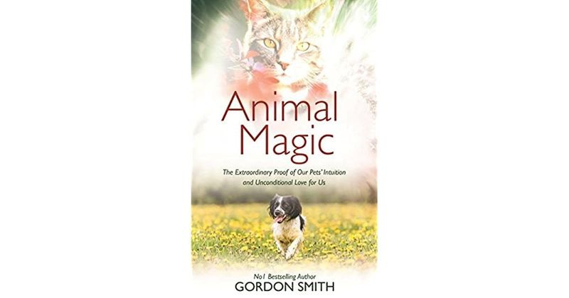 Animal Magic by Gordon Smith