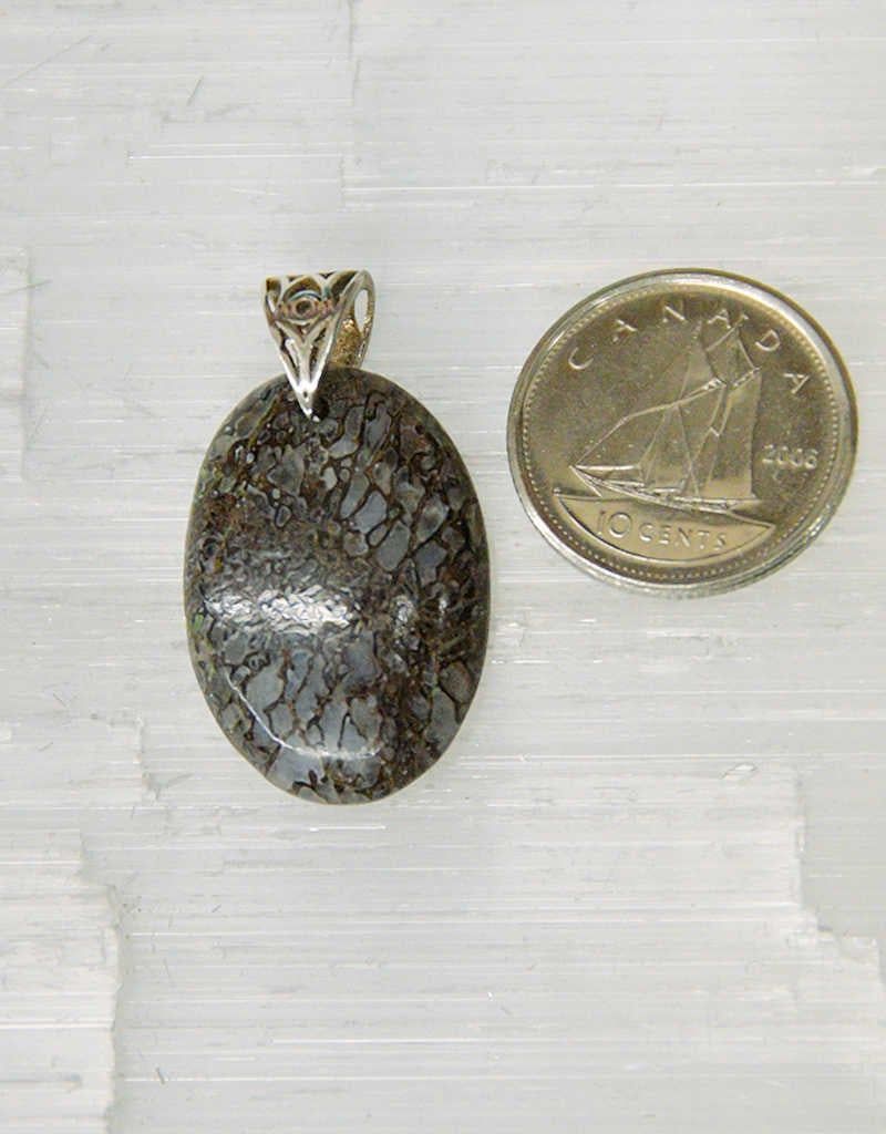 Dinosaur Bone Alberta Pendant Sterling Silver