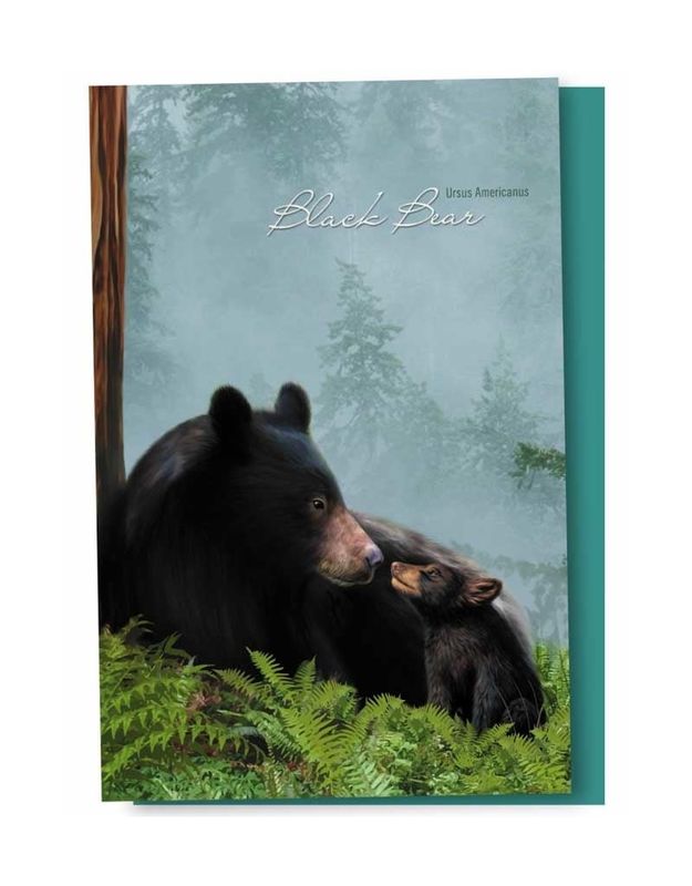 *CLEARANCE* $10 Black Bear Family  - 12 Notecards