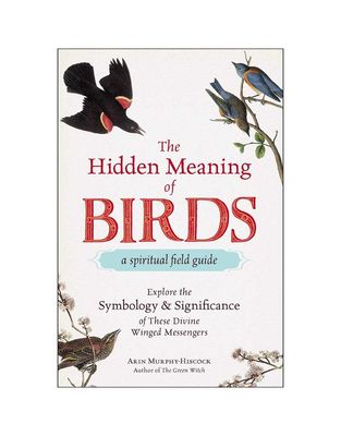 Hidden Meaning of Birds by Arin Murphy-Hiscock